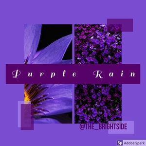 💜💜💜💜💜💜